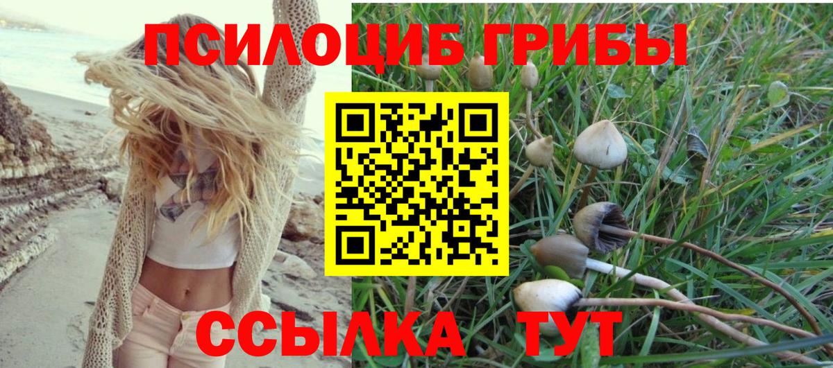 Псилоцибиновые грибы MAGIC MUSHROOMS  Галлюциногенные грибы ЛСД  Прокопьевск  Вход с VPN 